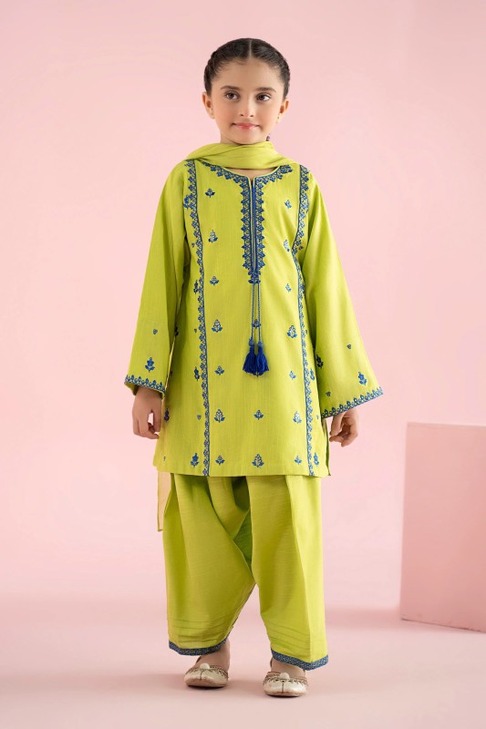 3 Piece Embroidered Khaddar Suit
